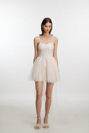 Tulle Slip Dress with Train
