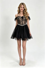 Black Off-Shoulder Lace Corset Tulle Mini Dress