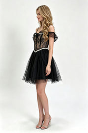 Black Off-Shoulder Lace Corset Tulle Mini Dress
